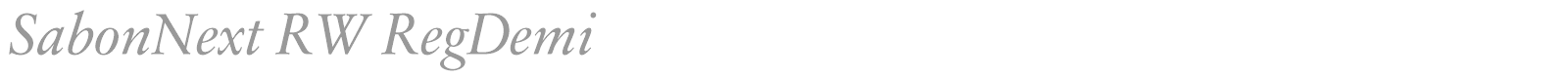 SabonNext RW RegDemi font preview